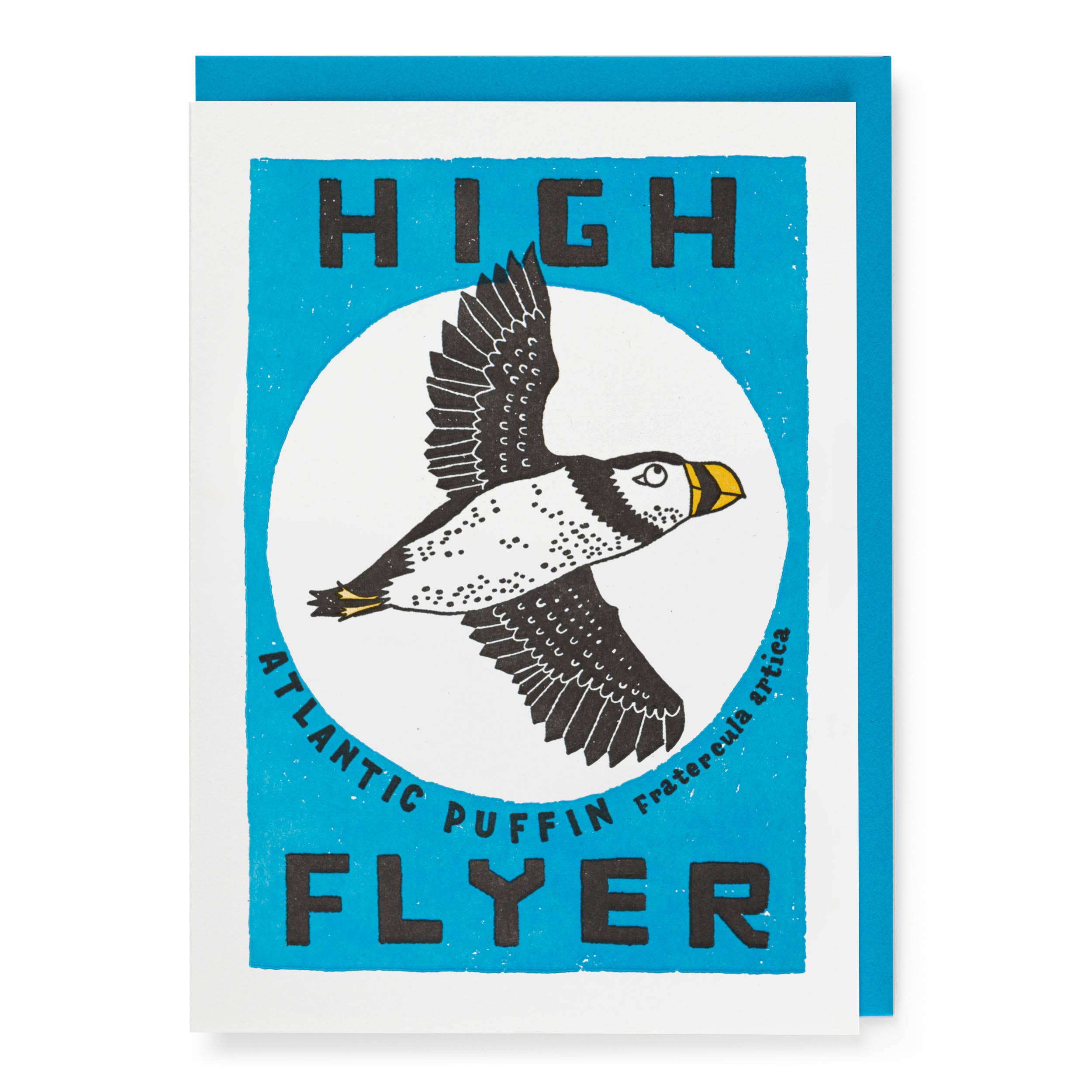 High Flyer Greeting Card