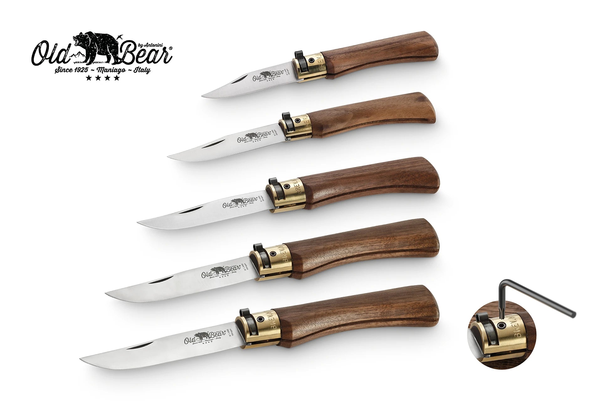 Antonini Old Bear Walnut Stainless Folding Knife